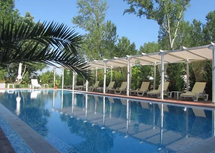 Cote Dazure Солнечный берег